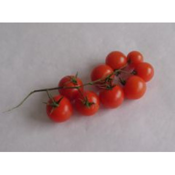 BIO cherry rajčata 250g Česko